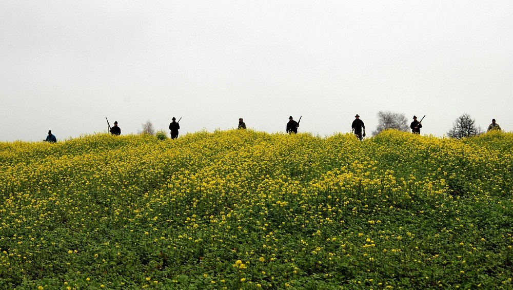 Treibjagd / Oö Landesjagdverband/N. Mayr Treibjagd