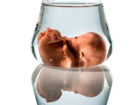 Symbolfoto Embryo, Gentechnik und Abtreibung. Schangerschaft durch künstliche Befruchtung / Erwin Wodicka - wodicka@aon.at, Erwin Wodicka Modell eines Embryos in einem Laborglas. Symbolfoto für Schwangerschaft durch künstliche Befruchtung. Abtreibung und Genmanipulation